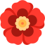 flower divider
